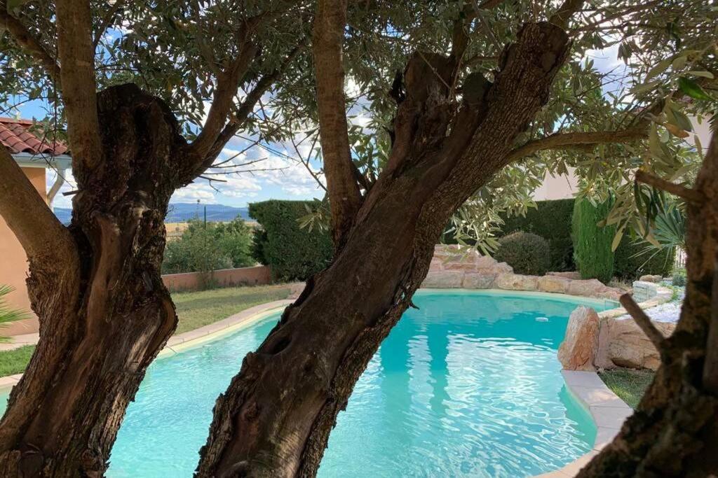 Villa Des Oliviers Avec Piscine Chassagny Екстериор снимка